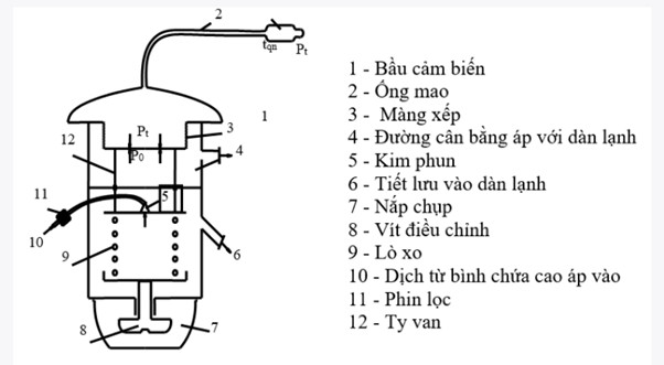 cau-tao-van-tiiest-luu